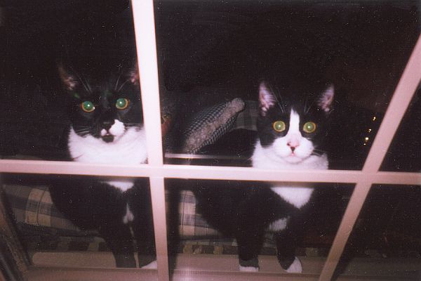 Amos-and-Andy